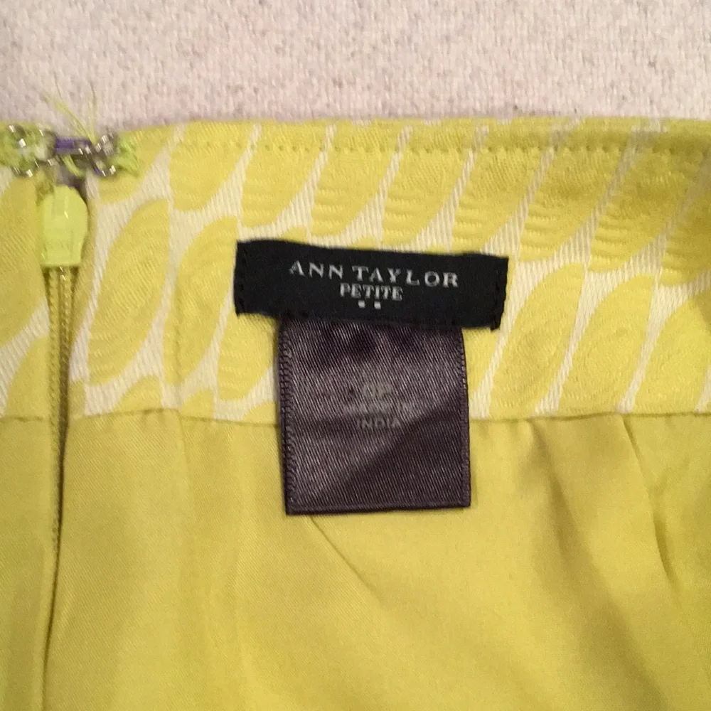 Ann Taylor excellent ann